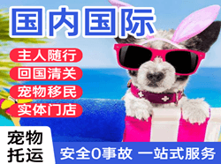 山南隆子空运地址国际宠物托运 【国